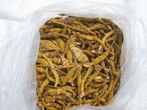 一呼百應(yīng)公司頻道