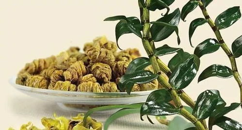 進(jìn)補(bǔ)這事兒可不能盲目從眾,