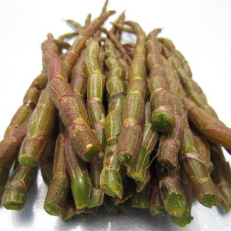 新昌劉門(mén)山鐵皮石斛鮮條 紅桿鮮條鐵皮石斛 鐵皮楓斗 20g