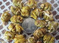 0批發(fā)正宗優(yōu)質(zhì)鐵皮楓斗保健茶[批發(fā)]_茶葉_世界工廠網(wǎng)中國(guó)產(chǎn)品信息庫(kù)