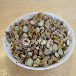 注意 鐵皮楓斗泡茶相當于喝白開水