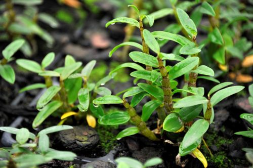 森山捐贈近百萬元鐵皮楓斗產品，助力一線醫護人員抗擊疫情