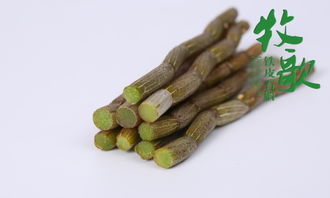 鐵皮石斛與鐵皮楓斗 能否像甘蔗一樣直接食用？