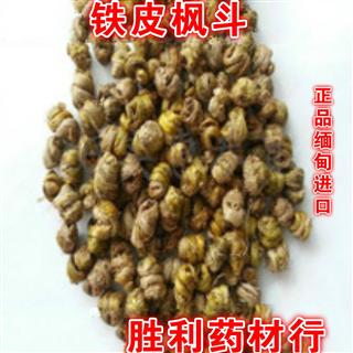 鐵皮楓斗 珍稀藥材的養生價值與市場供應