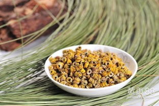 霍山鐵皮石斛楓斗 天然美容養顏的瑰寶