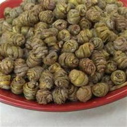 鐵皮石斛 正宗云南精鐵鐵皮石斛楓斗，自然饋贈(zèng)的健康瑰寶